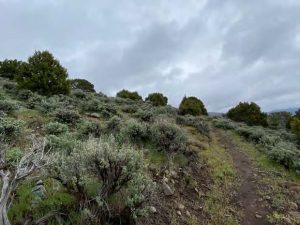 A view of Red Ledges' nature preserve