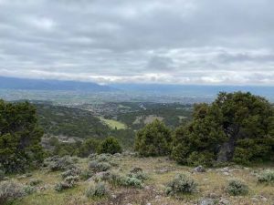 A view from Red Ledges' nature preserve