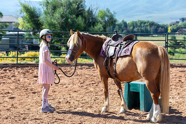 Equestrian Center horses