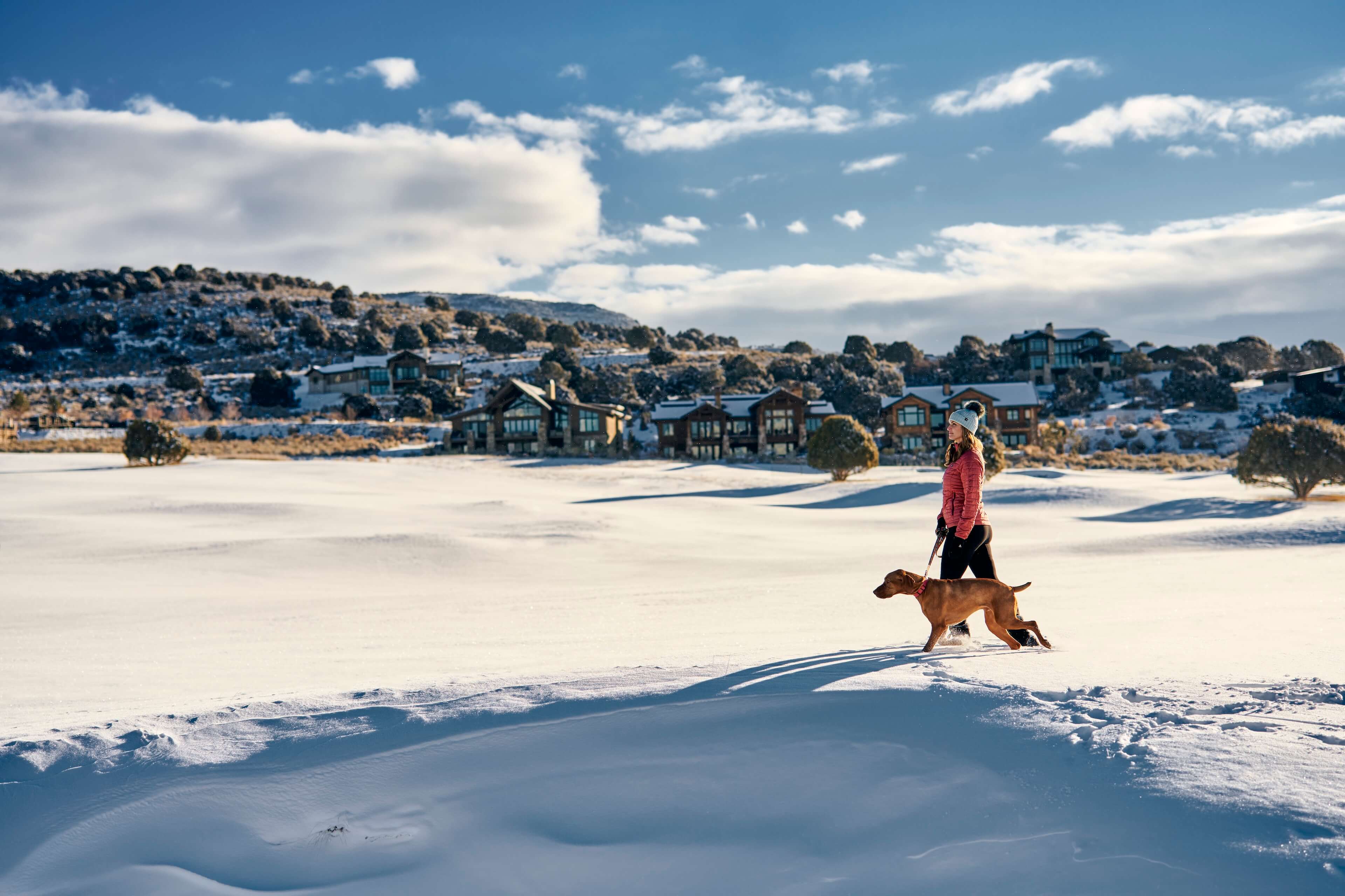 Dog walker - Red ledges CTA background