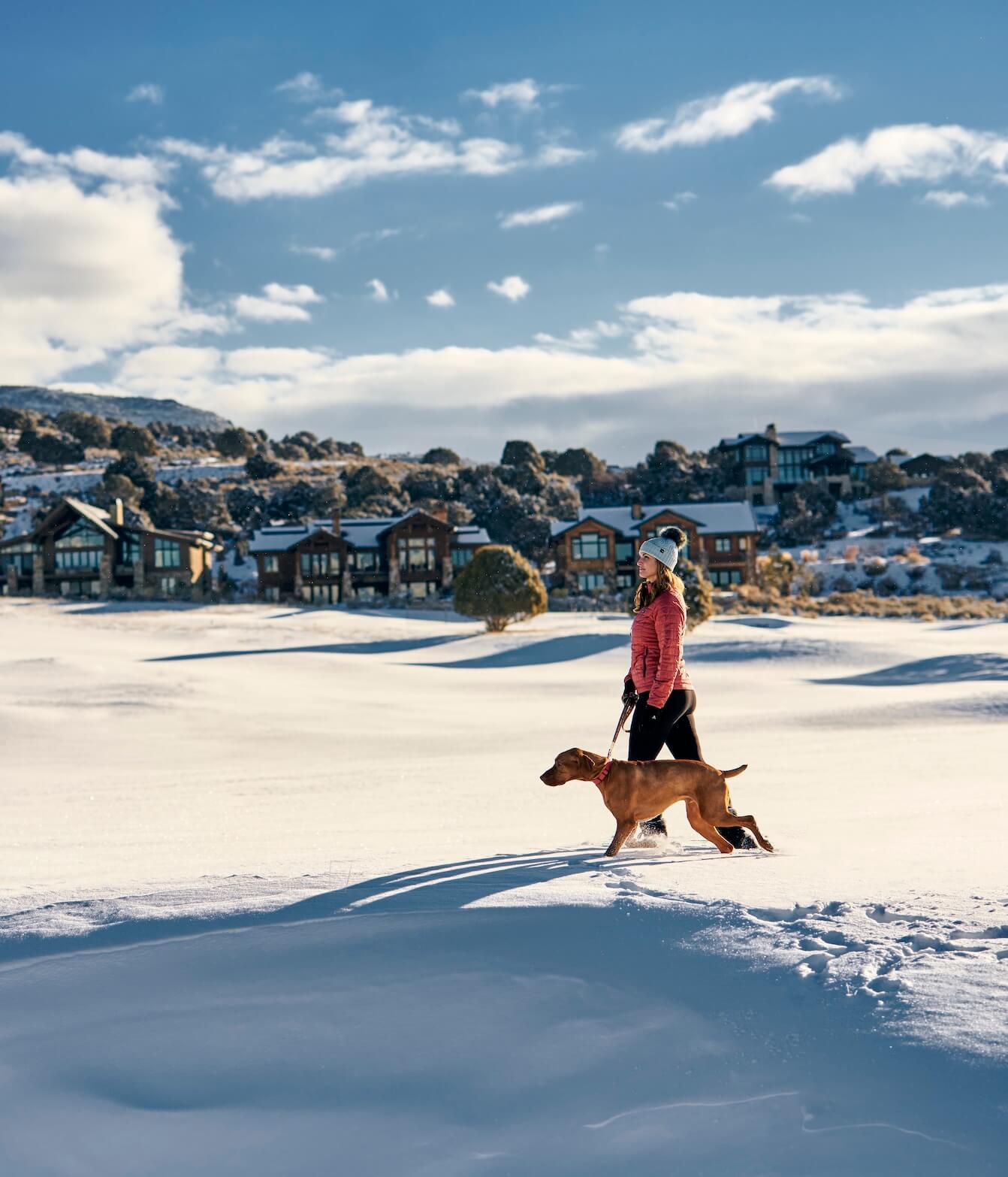 DogWalker