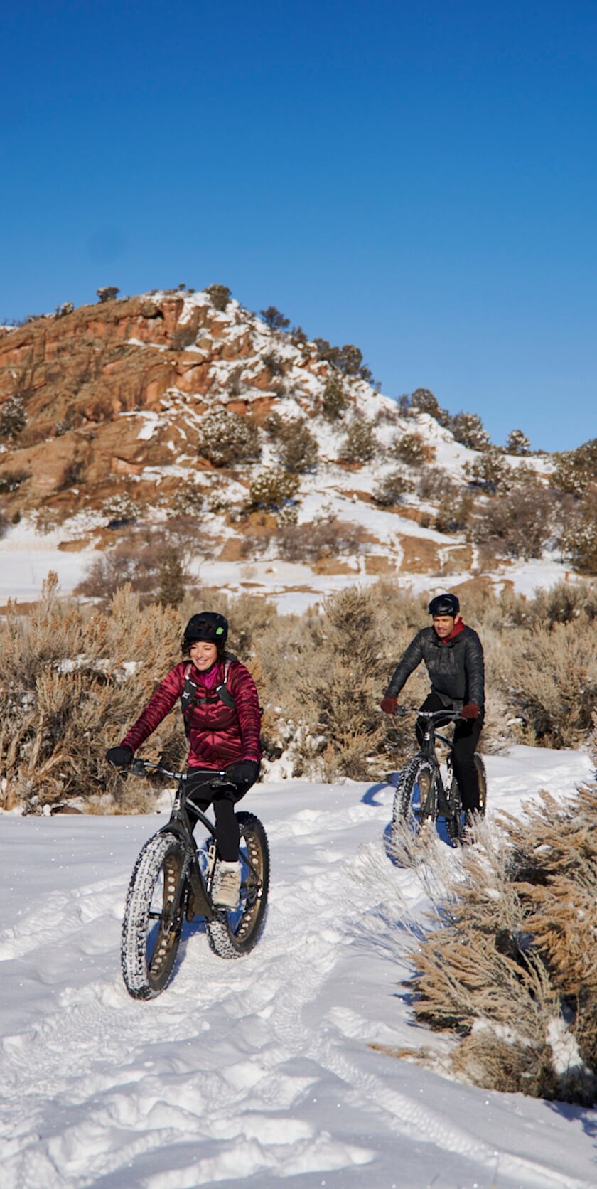 FatBikes amenities2