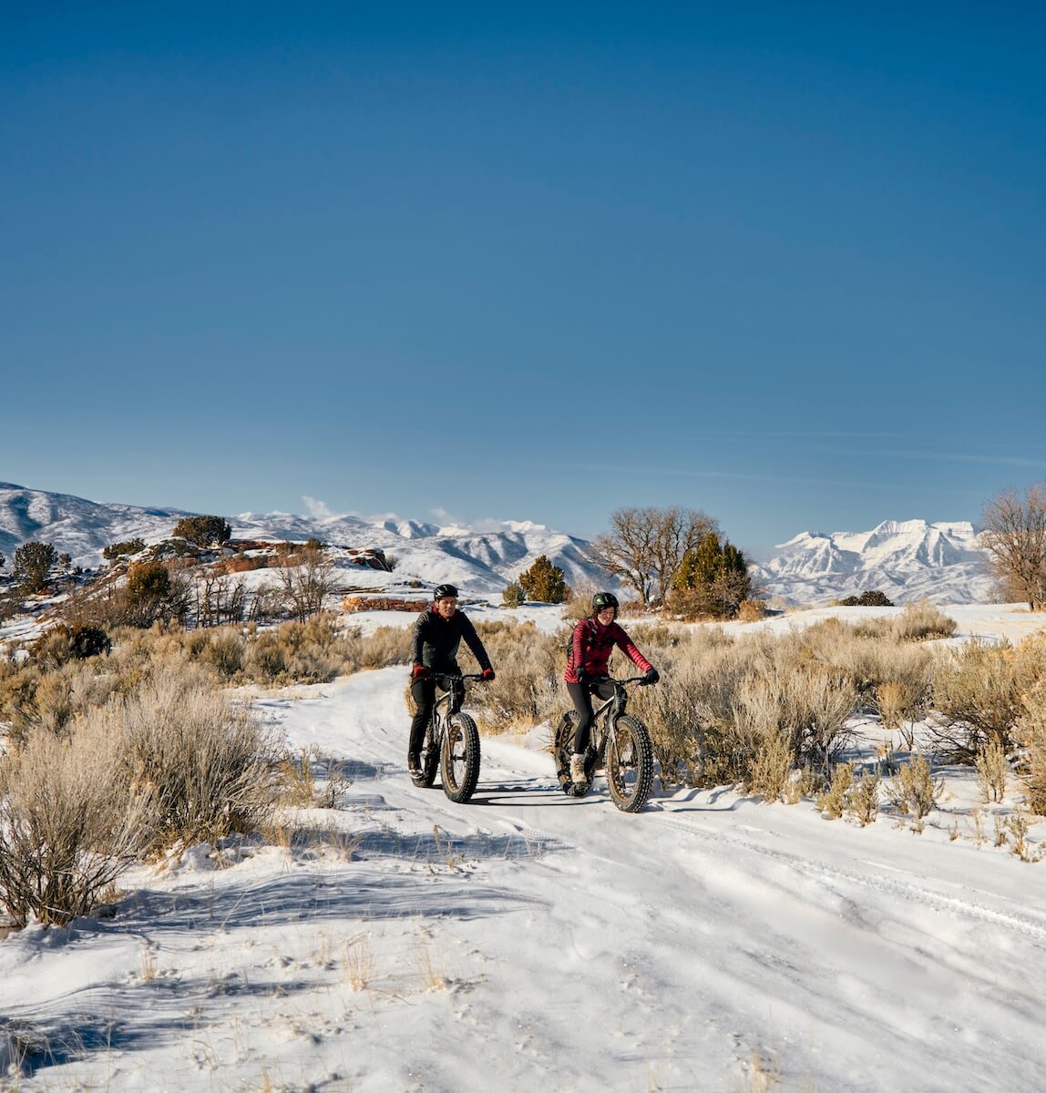 FatBikes mountain biking