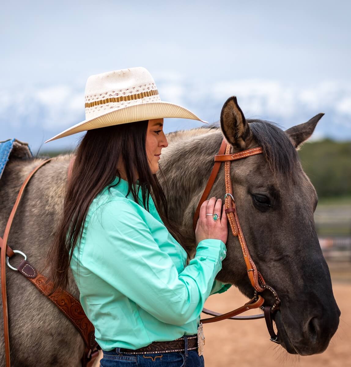 Horse leasing punch pass