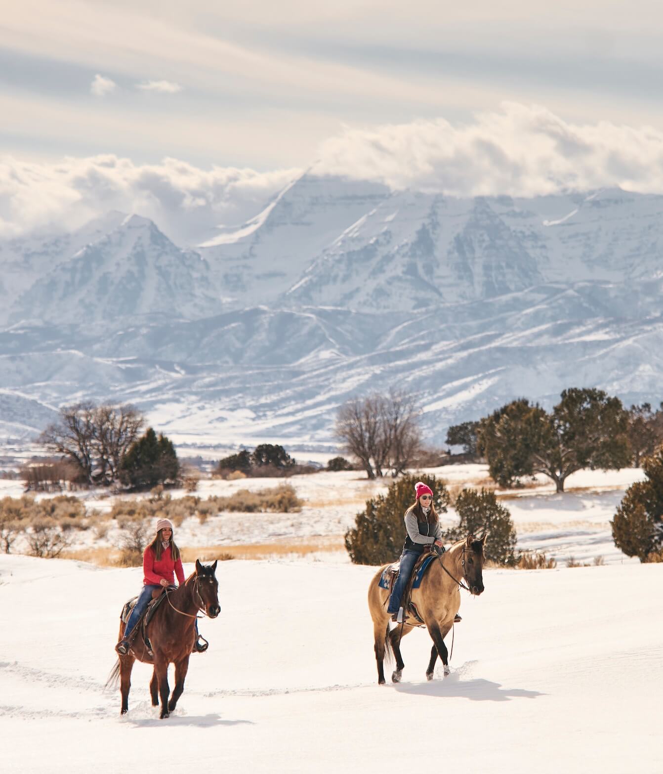 Horses riding snow