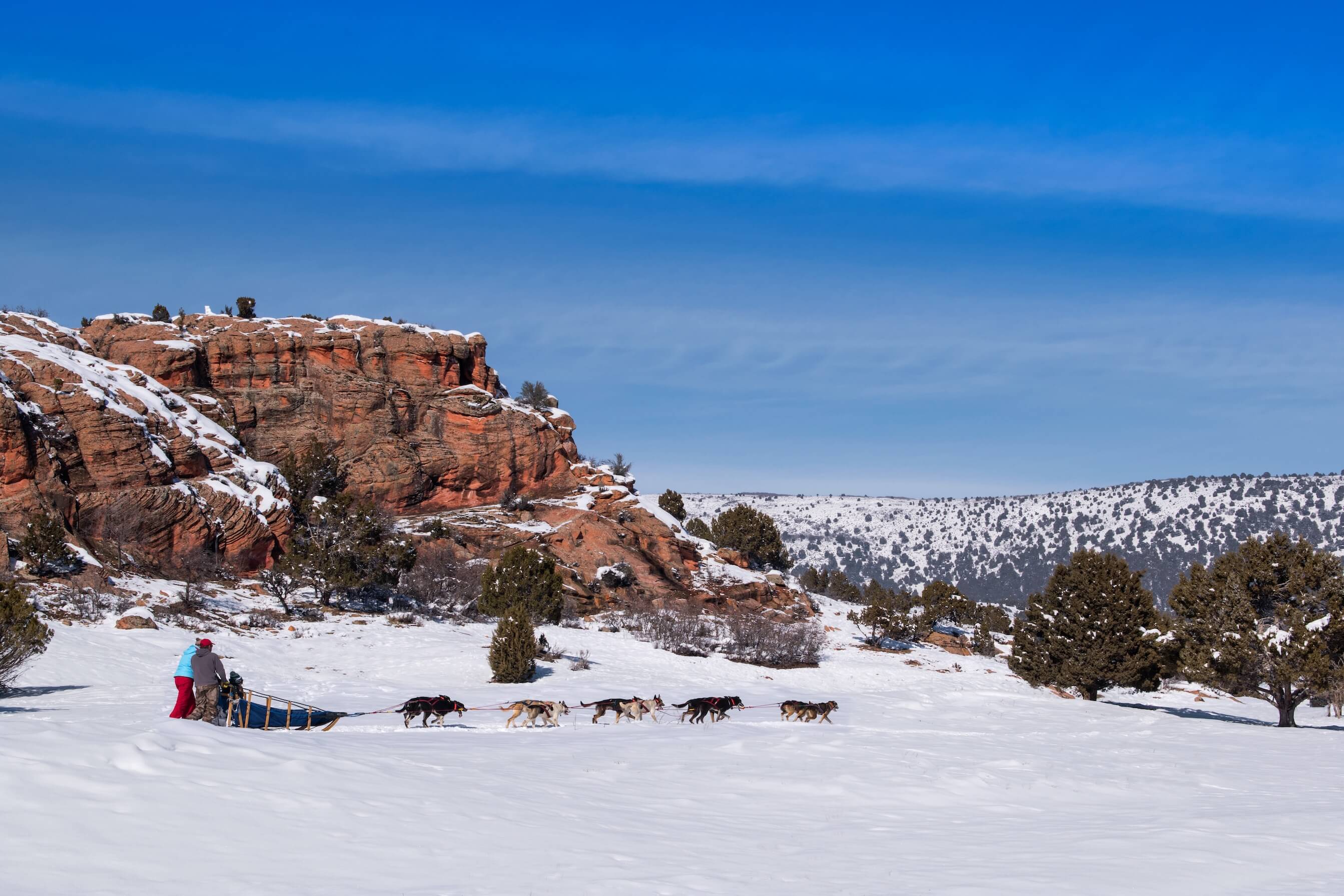 Red Ledges dog sled
