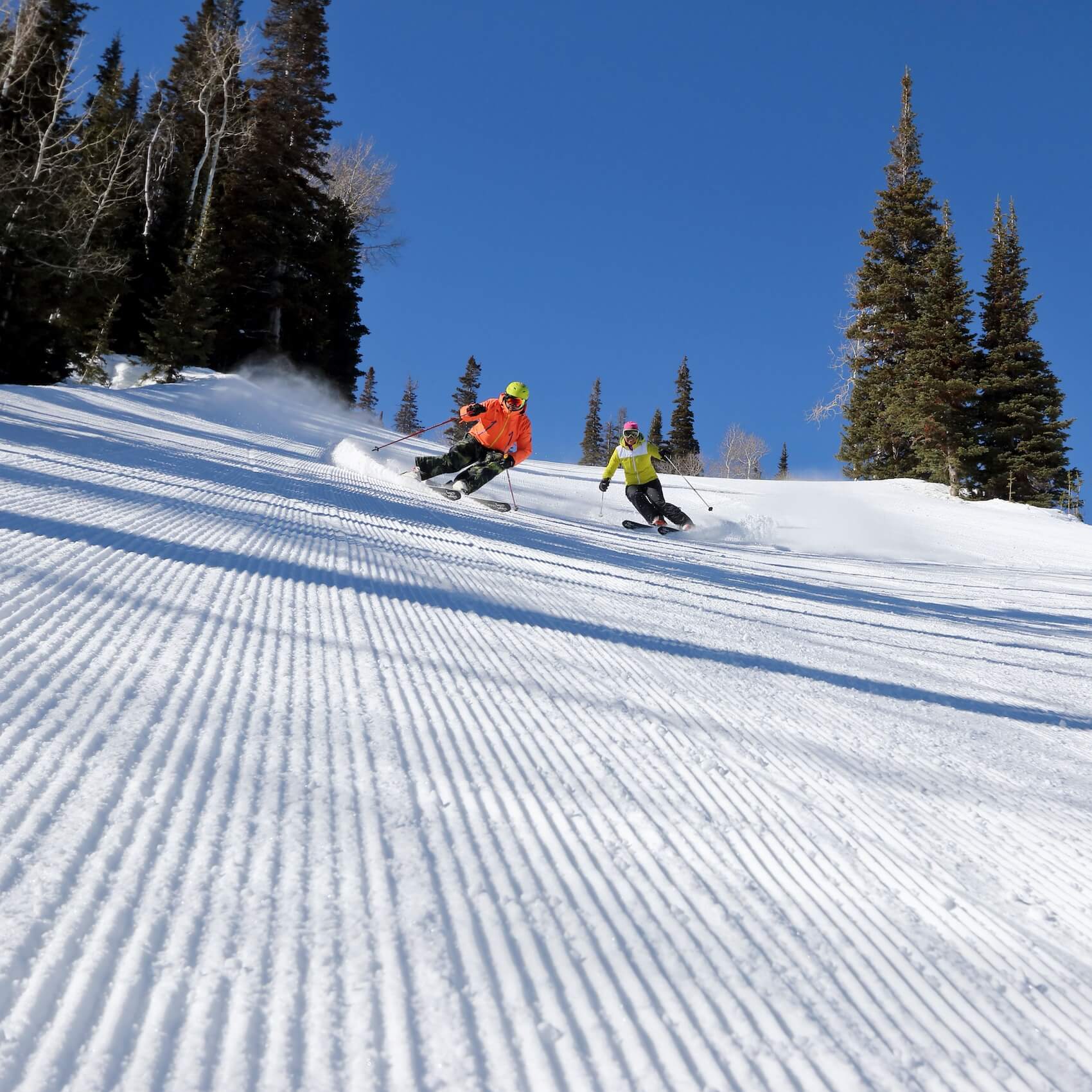 Skiers on DV Corduroy