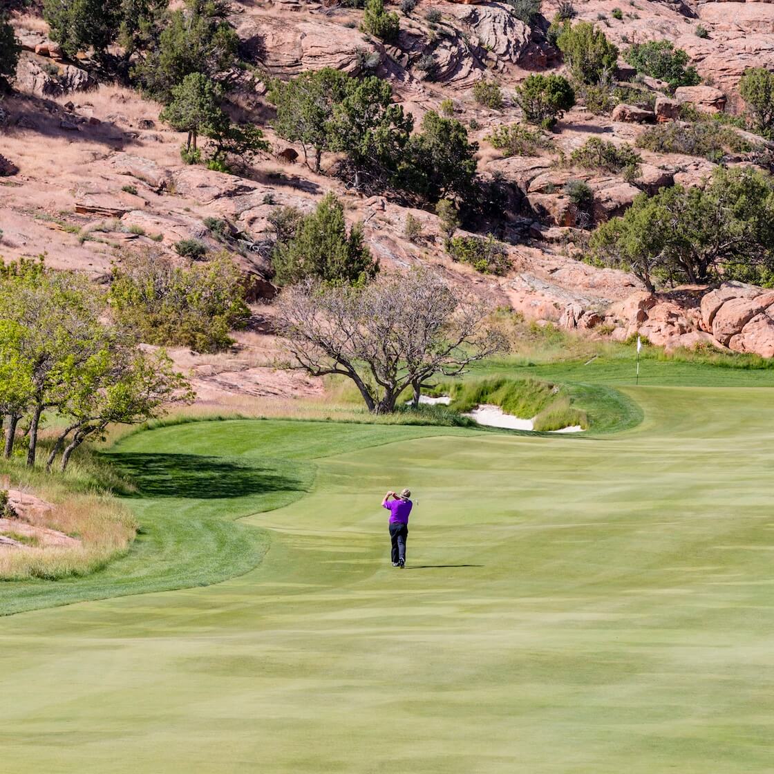 Golf player shot