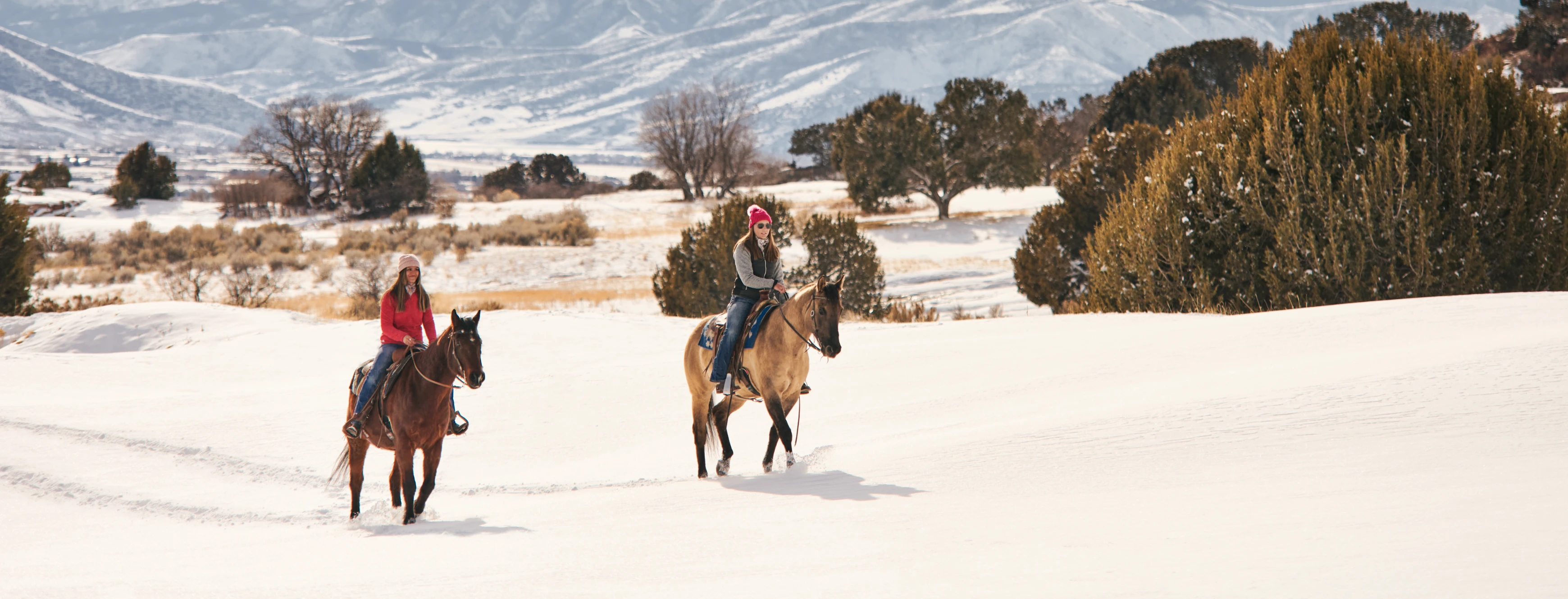 Red ledges equestrian winter trail