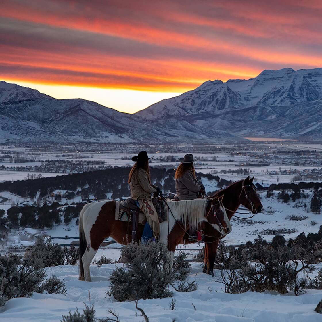 winter-kb-horses-world-class-amenities