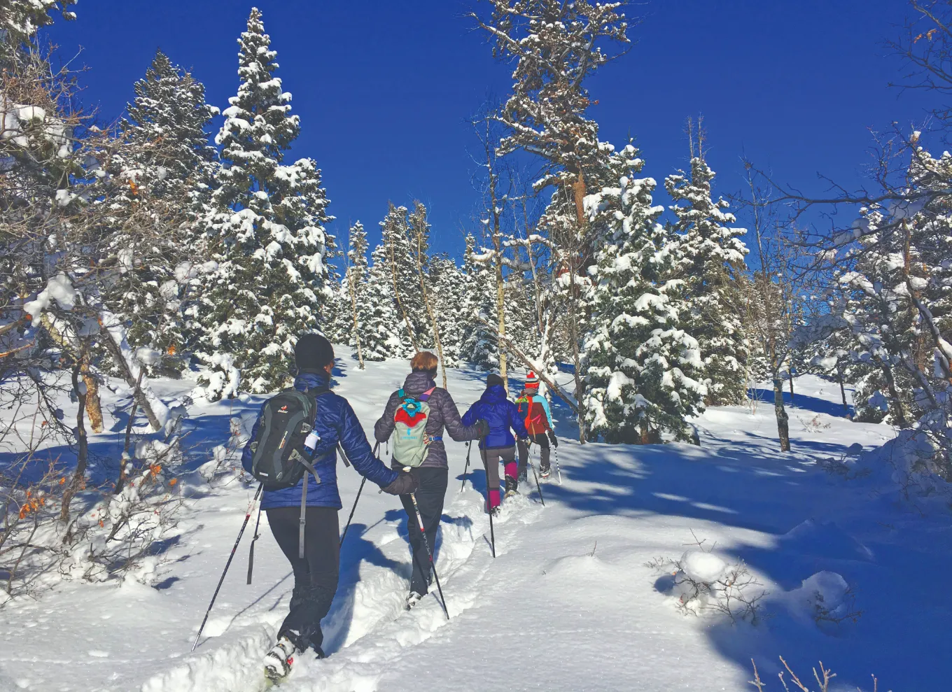 Snowshoeing at Daniel's Summit CMYK