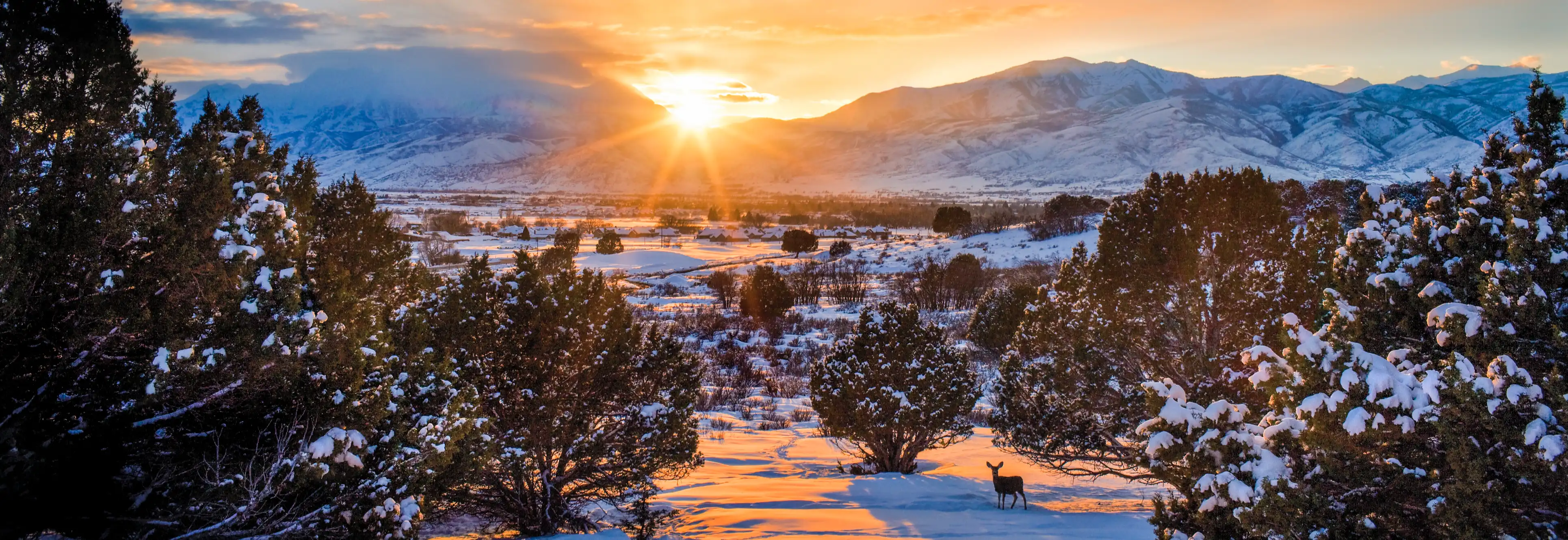 Mount Timpanogos and deer in snow About Red Ledges in Heber Valley