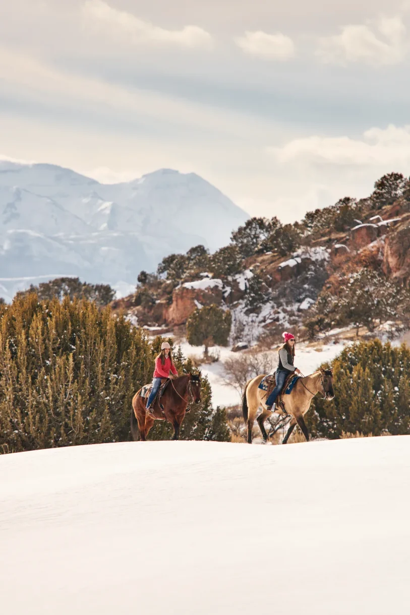 Year Round Equestrian Pursuits (Equestrian)