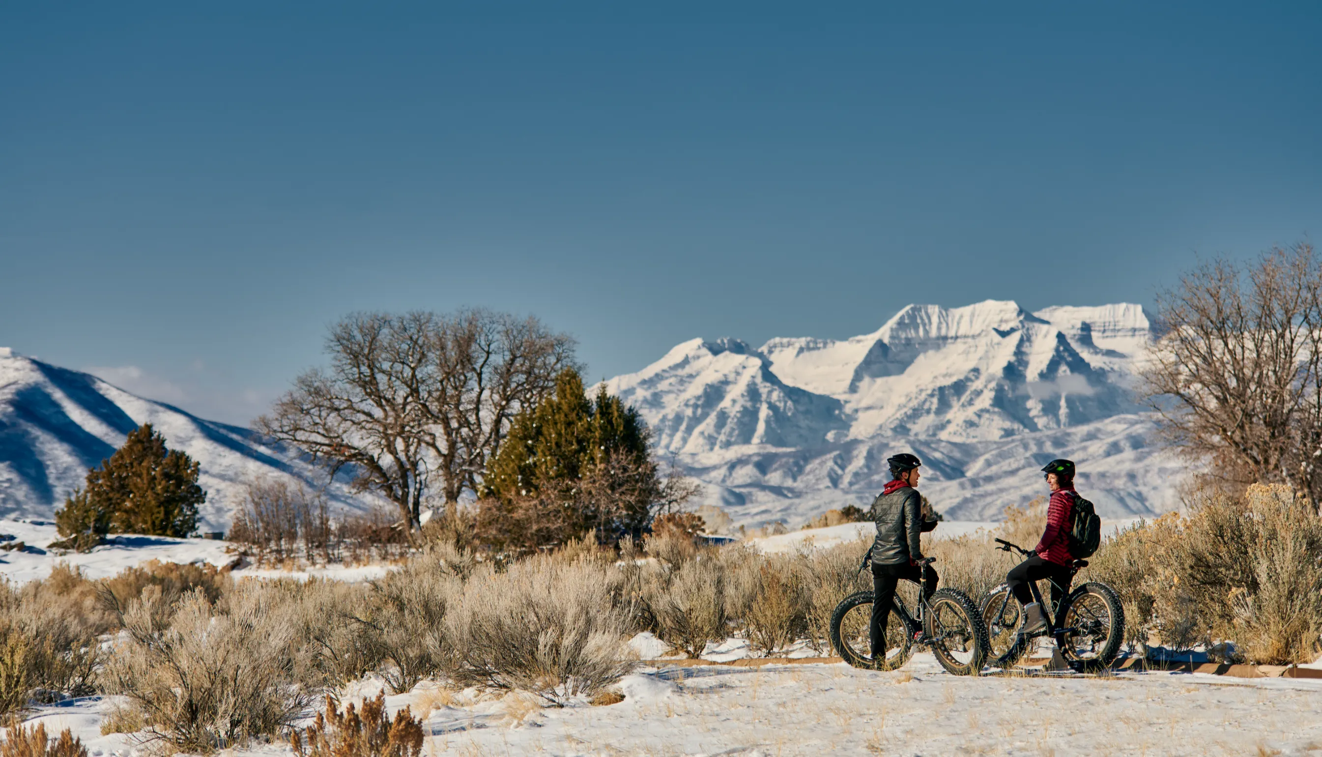 FatBikes
