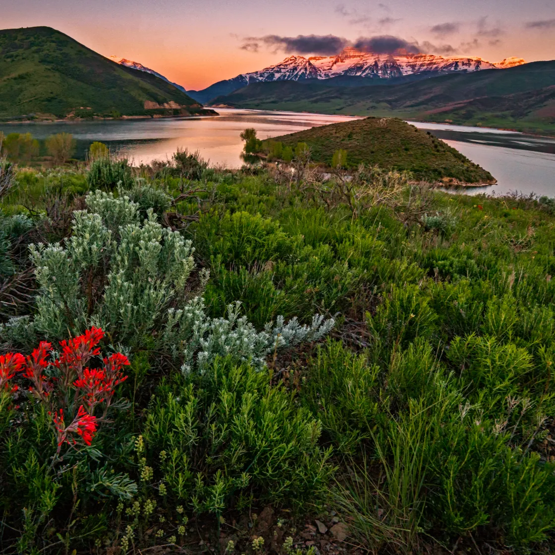 Mount Timpanogos
